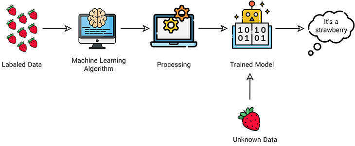 ماشین لرنینگ چیست | یادگیری نظارت‌شده (supervised learning)